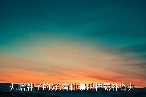 丸啥牌子的好,有仲景牌桂露补肾丸