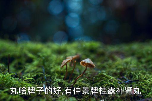 丸啥牌子的好,有仲景牌桂露补肾丸