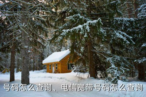 号码怎么查询、电信宽带号码怎么查询