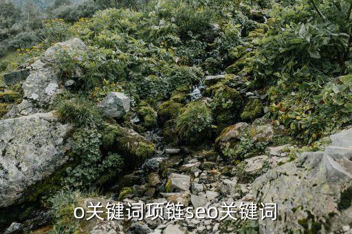 o关键词项链seo关键词