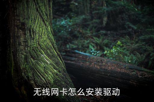 尹睿无线网卡怎么安装驱动
