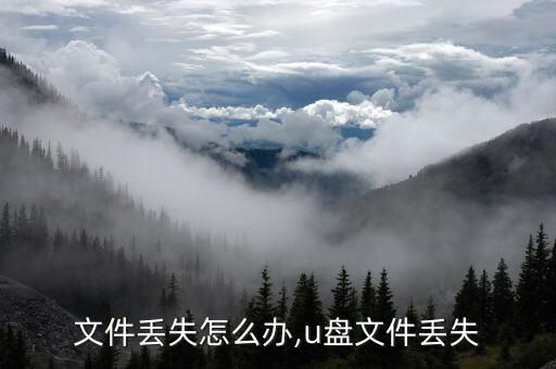 u盘文件丢失怎么办,u盘文件丢失