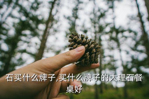 大理石买什么牌子,买什么牌子的大理石餐桌好?