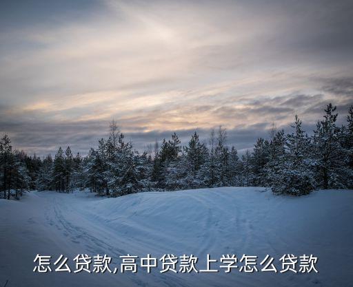怎么贷款,高中贷款上学怎么贷款