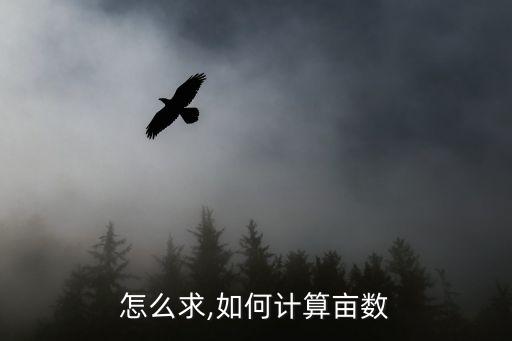 亩数怎么求,如何计算亩数