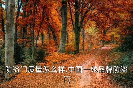 防盗门质量怎么样,中国一线品牌防盗门