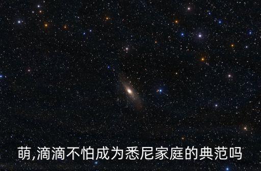 王柠萌,滴滴不怕成为悉尼家庭的典范吗?