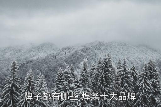 焊条牌子都有哪些,焊条十大品牌