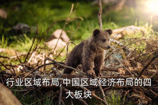 化工行业区域布局,中国区域经济布局的四大板块