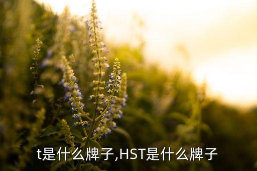 t是什么牌子,HST是什么牌子