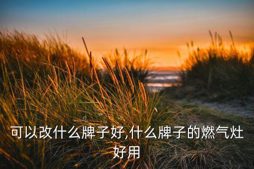 可以改什么牌子好,什么牌子的燃气灶好用