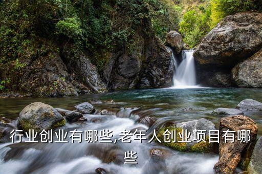 行业创业有哪些,老年人创业项目有哪些