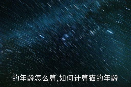 猫咪的年龄怎么算,如何计算猫的年龄?