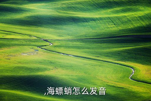 ,海螵蛸怎么发音