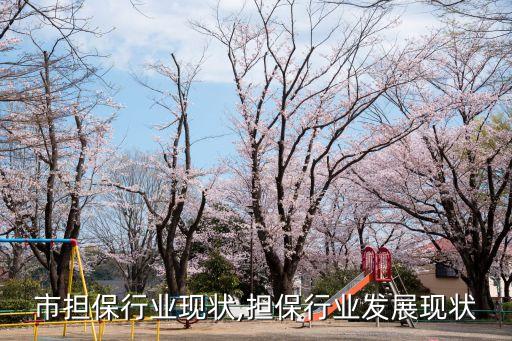 西安市担保行业现状,担保行业发展现状
