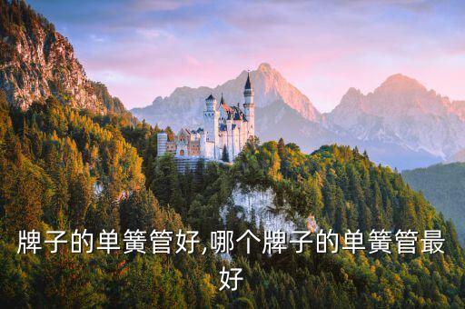 牌子的单簧管好,哪个牌子的单簧管最好