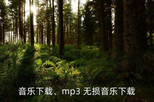 无损音乐下载、mp3 无损音乐下载