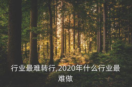 行业最难转行,2020年什么行业最难做