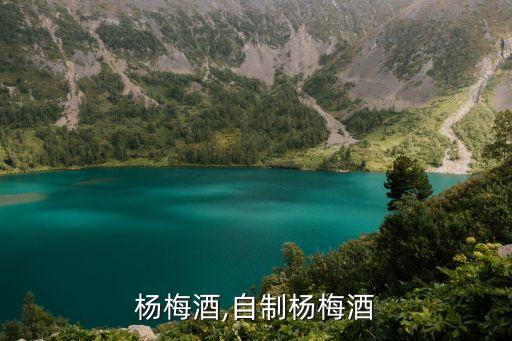 自酿杨梅酒,自制杨梅酒