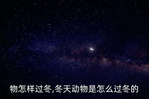 小动物怎样过冬,冬天动物是怎么过冬的?
