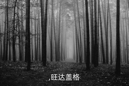 ,旺达盖格