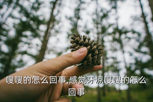 嗖嗖的怎么回事,感觉牙凉嗖嗖的怎么回事