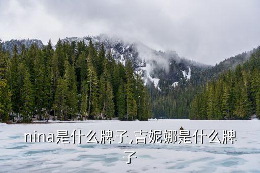 nina是什么牌子,吉妮娜是什么牌子