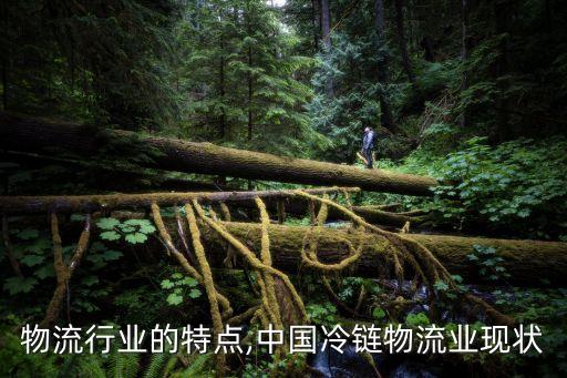 冷链物流行业的特点,中国冷链物流业现状