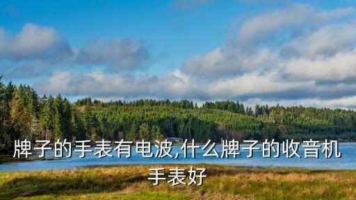 牌子的手表有电波,什么牌子的收音机手表好