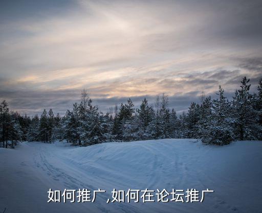 论坛如何推广,如何在论坛推广