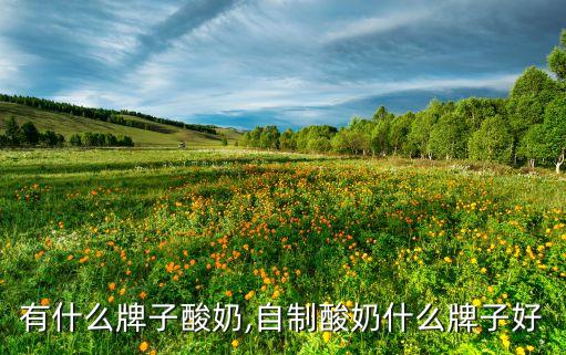 有什么牌子酸奶,自制酸奶什么牌子好