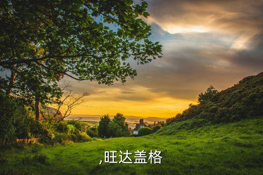 盖格,旺达盖格