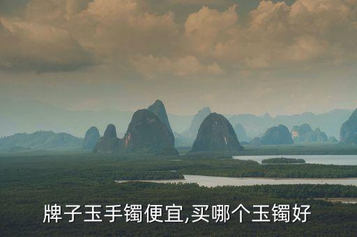 哪个牌子玉手镯便宜,买哪个玉镯好?