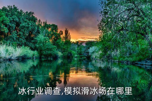 冰行业调查,模拟滑冰场在哪里